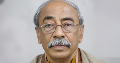 মানবতাবিরোধী অপরাধ মামলায় শাহরিয়ার কবিরকে গ্রেফতার দেখাতে নির্দেশ