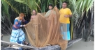 সুন্দরবনের অভয়ারণ্যে মাছ ধরায় ৪ জেলে আটক