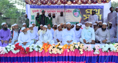 দুই হাত জোড় করে অনুরোধ, একটিবার ইসলামকে পরীক্ষা করুন: ফয়জুল করীম