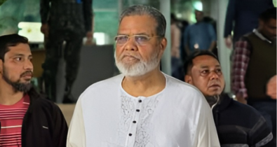 হাসনাত আব্দুল্লাহর আসনে বিএনপির প্রার্থীর মনোনয়ন বাতিল