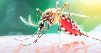 ডেঙ্গুতে মৃত্যু ৩০০ ছাড়াল, আক্রান্ত লাখ ছুঁইছুঁই