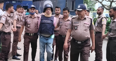 ট্রাইব্যুনালে সাক্ষীকে উদ্দেশ করে পলকের মন্তব্য, ‘ভয় পাইছে’ ট্রাইব্যুনালে সাক্ষীকে উদ্দেশ করে পলকের মন্তব্য, ‘ভয় পাইছে’